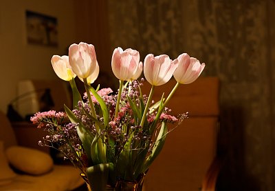 Proč nechal jsem tulipán pod obrazem  ...