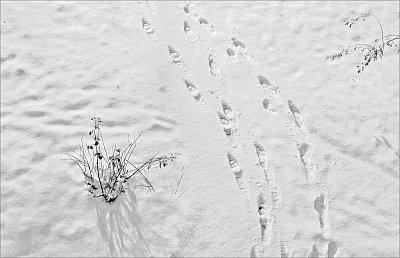 Procházka ve dvou ...