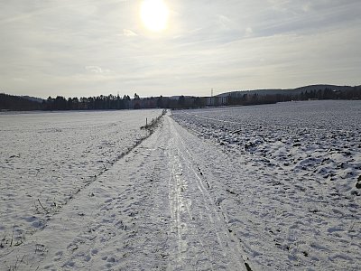 Z procházky domů za sluncem ...