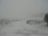 bílé ráno 8.2.2015