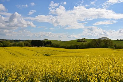 Jaro je tu znenadání