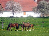 Rodinka v květnu 2014