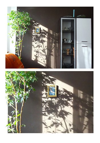 Paní Věro, udělala jsem výřez z vaší fotky, řekla bych, že je působivější