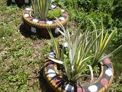 Zajímavě osázené pneumatiky v podhradí Strečna