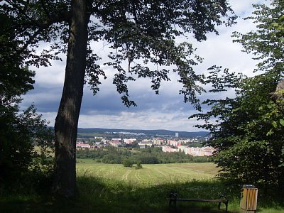 Z Křížové cesty jsou zajímavé výhledy do okolí s odpočinkovými lavečkami