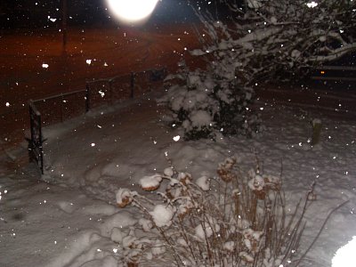 Sníh přírodu oblékl do čisté krásy   ♥