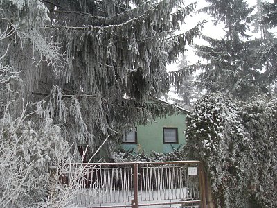 Snad se té sněhové pohádky také už brzy dočkáme?