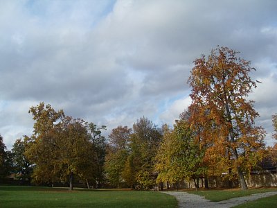 Příroda je kouzelná