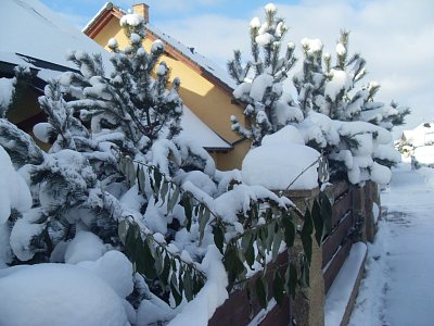 Ale ve stínu zůstavají vytvořené nádherné scénárie