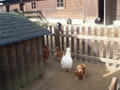 Ekofarma na Čapím hnízdě