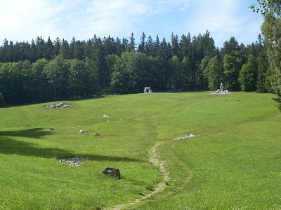 Sluneční stráň v Jeseníku