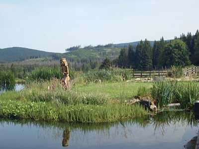 Romantická zahrada*