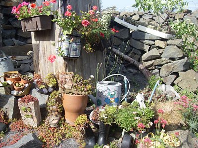 Arboretum Makču Pikču