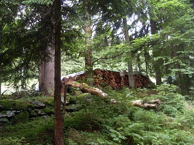 V čistých a hlubokých lesích Šumavy jsou všechny domečky obklopeny množstvím nachystaného dříví na zimu