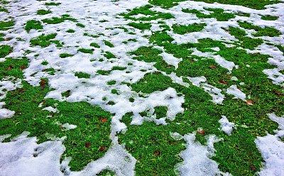 Předjarní - Šeptala mi tráva