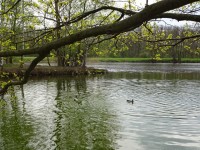 Poděbrady - soutok Labe s Cidlinou