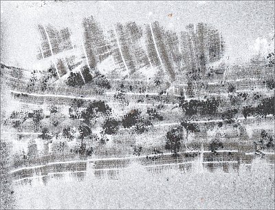 Zoufání Sherlocka Holmese ...