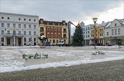 V Hlučíně už roste vánoční strom*