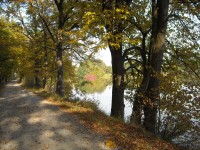 Všechny mají své krásné hráze 