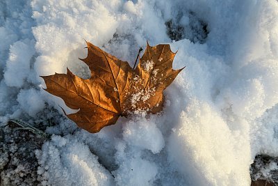Hoví si v peřinách ...
