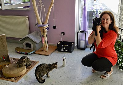 Slzy bolesti i radosti v kočičí kavárně Šťastné tlapky Fénix