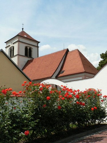 Růžičky před tlumačovským kostelem