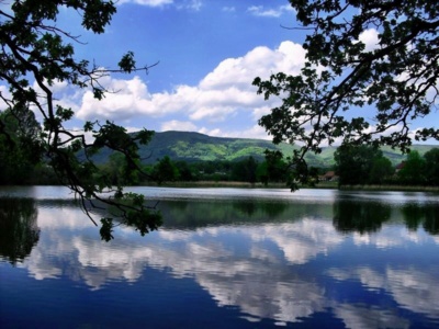 Pod Krušnými horami