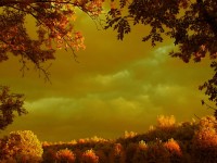 Z výstavy - Podzim maluje 