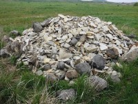 Domečky pro ještěrky