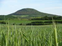 to je ta země, mlékem a strdím oplývající