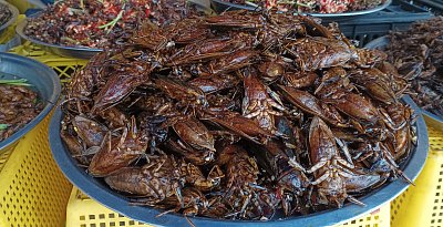 Asie si pochutnává, já ne