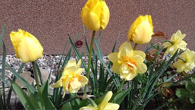 Jaro už nic nezastaví 