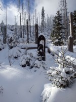 Socha Vltavy u pramene