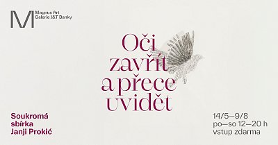 Oči zavřít a přece uvidět – soukromá sbírka Janji Prokič v Magnus Art galerii