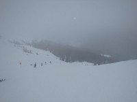 Tak v tomhle nejezdím -  jdu do útulny