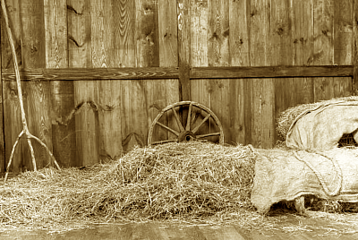 Vzpomínky na prázdniny před 50 lety
