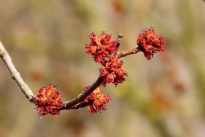 Tři, dva, jedna - JARO!