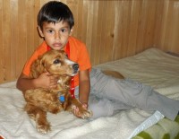 I cizí pes je  nejlepší kamarád