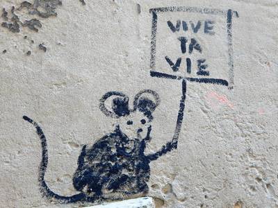 VvG toto nenamaloval