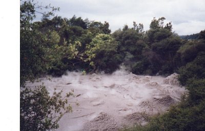Whakarewarewa Thermal Reserve - bublající bahno