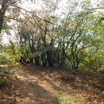 Za soumraku tu může být tajemno