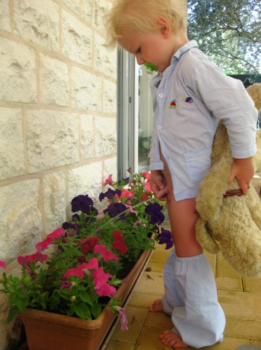 Zalévám, kde se dá..:))