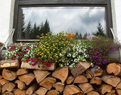 A na zimu je připraveno