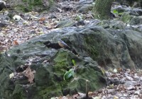 Uvaděč pod vrcholem