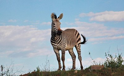 Hrajeme si s češtinou – výměnky na pokračování