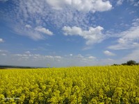 Říp je směrem doprava