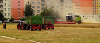 Žně v plném proudu