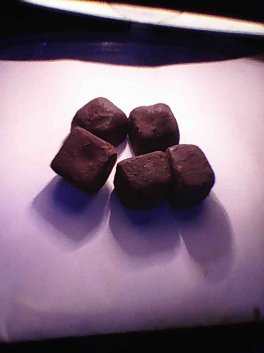 Tak nevím, přežiji?