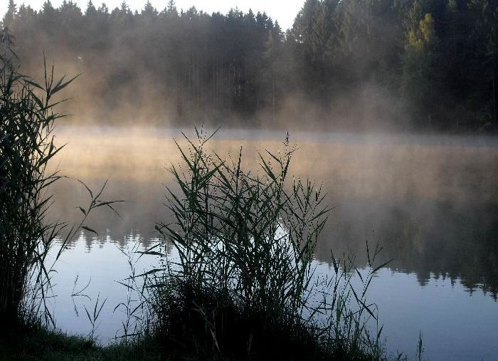 Moje léto 2014: v autokempu
u Nepomuka s léčivou přírodou
