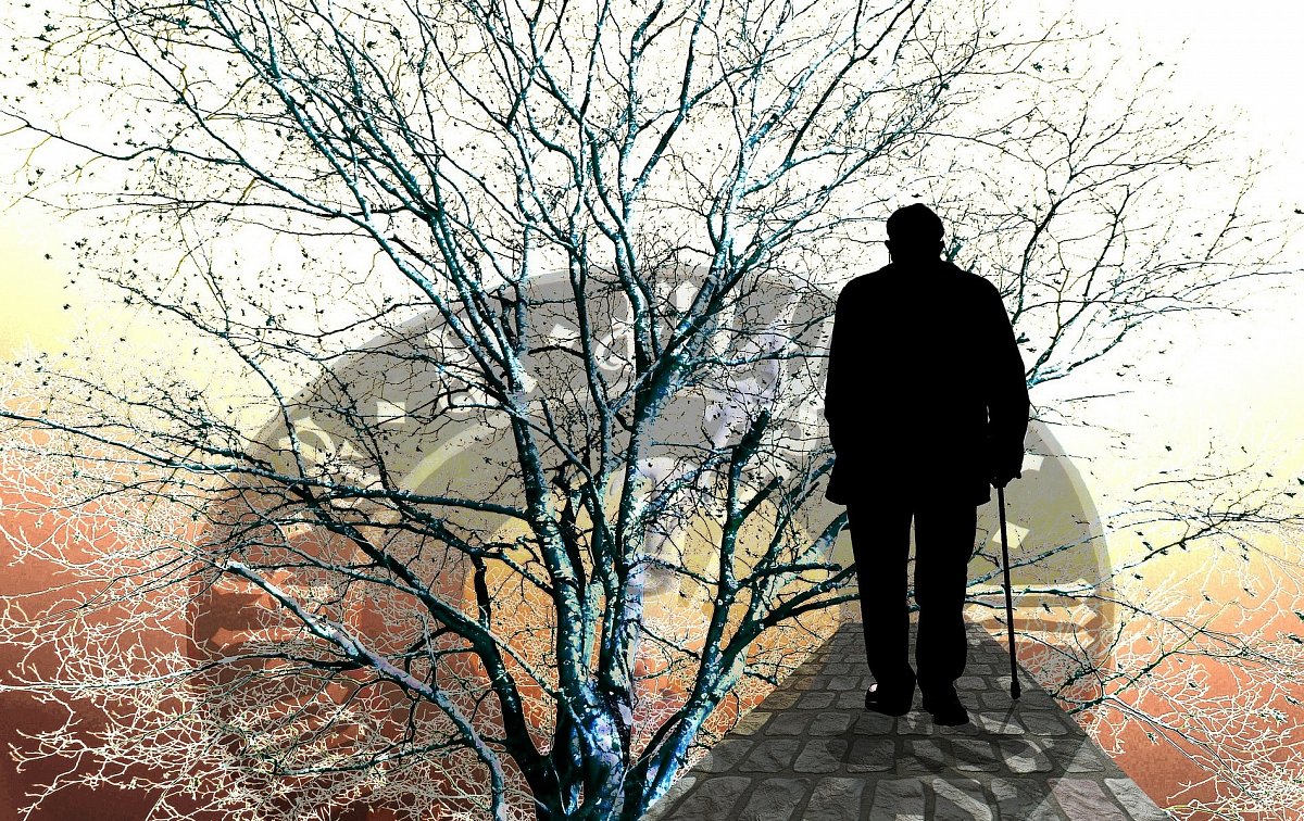 Fenomenální paměť